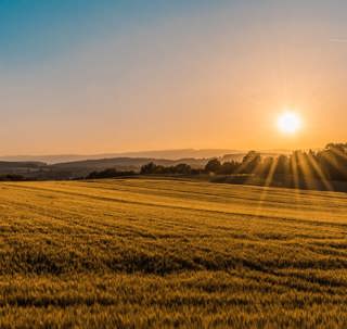 Calming Field Ambience: 3-Hour Tranquil Outdoor Sounds for Blissful Sleepiness