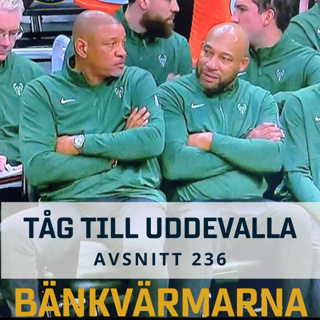 236. Tåg till Uddevalla