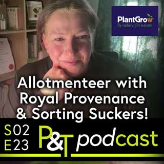 Royal Provenance of Allotment Cooks, Plus Why Now's Best to Sort Suckers!