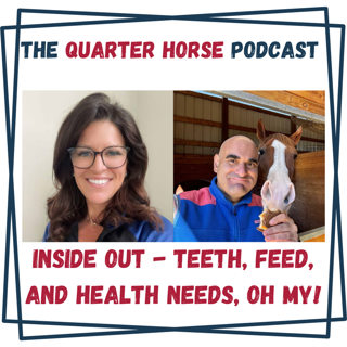 Quarter Horses Inside & Out - Teeth, Feed, and Health Needs, Oh MY! For Tuesday, May 20th, 2025