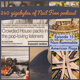 Ep 15 - Non-flammable American Flags (Austin 1994)