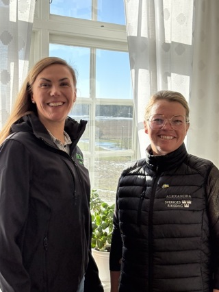 # 130 om att våga vara modig, jobba tillsamamns och lära sv varndra med Sara Rubin, vd Dille gård