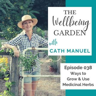 Ways to Grow and Use Medicinal Plants