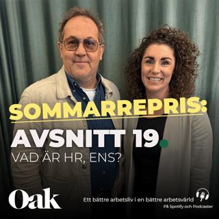 SOMMARREPRIS: 19. Vad är HR, ens?