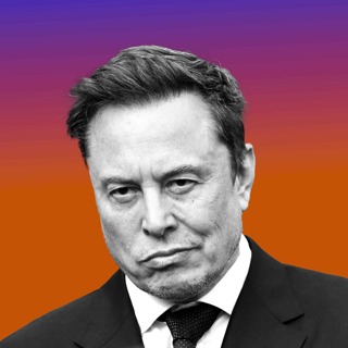 The Making of Elon Musk