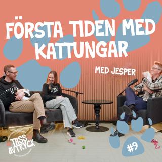 Första tiden med två kattungar