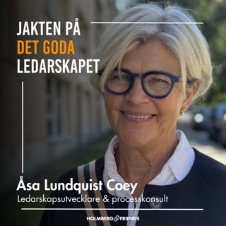 Ta vara på din makt som ledare - Åsa Lundquist Coey