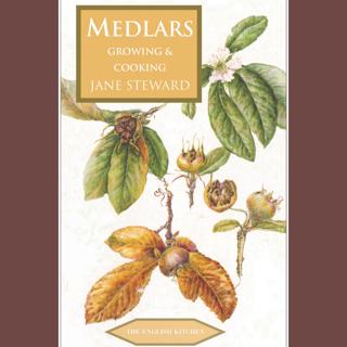 383: The Medlar Specialist & Her Delicious Medlar Book