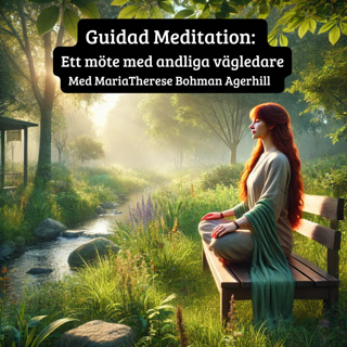 Guidad Meditation: Ett möte med andliga vägledare Med MariaTherese Bohman Agerhill