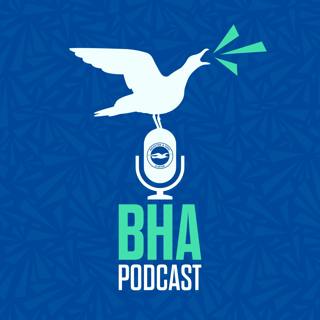 Coming Soon... The Official Brighton and Hove Albion Podcast