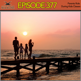 Episode 377 - Parents Role During Kids Classes
