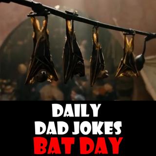 National Bat Day! 27 August 2025