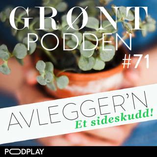 #71 Avlegger'n