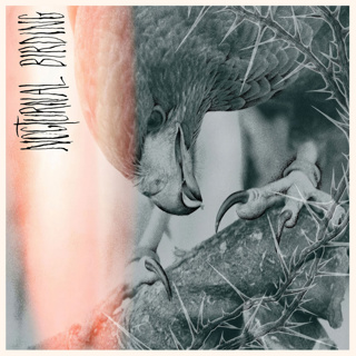 ALBUM REVIEW: Author & Punisher - Nocturnal Birding