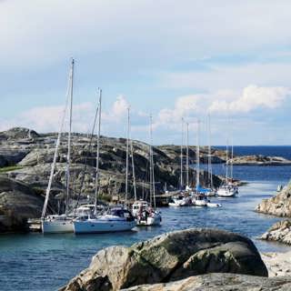 Från Väderöarna till Holmön – i Sjörapportens spår