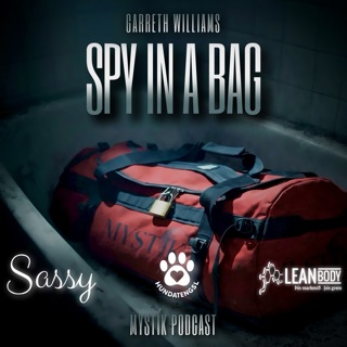 DULARFULLT: SPY IN A BAG 🎒
