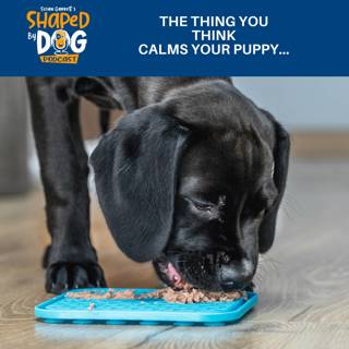 The Thing You THINK Calms Your Puppy... #320