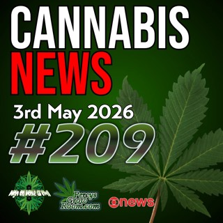 Rescheduling is Causing Confusion! | 19 Year Old Locked up in Malaysia | Cannabis Leaves Used for Medicine? | Cannabis is Preferred Pain Med over Opioids | Cannabis News 209