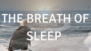 Series 2 Episode 21 The Breath of Sleep A guided meditation to help you sleep