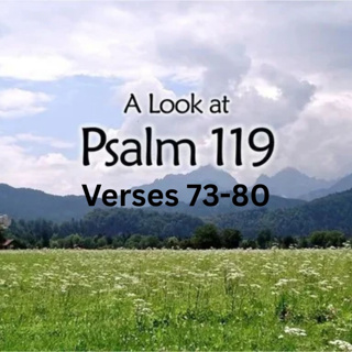 Psalm 119:73-80