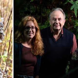 Naturpanelen om viderosor och en upp-och-nedvänd kattuggla