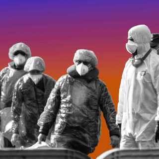 What Next - Should I Be Freaking Out About Hantavirus?