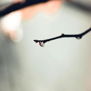 Light Rain and Crickets - 10 Hours Sleep Sound