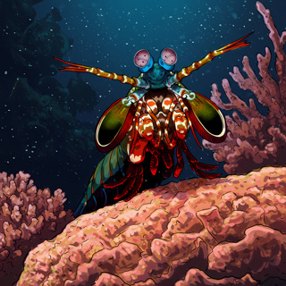 🦐 Gladiators of the Coral Kingdom
