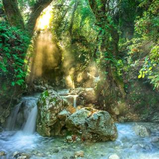 😴💧🎵 Soft MUSIC and Water SOUND: Revitalize your Mental Health while SLEEPING