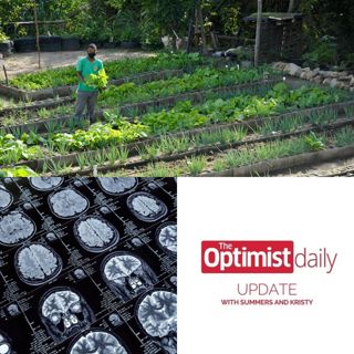 Community Garden & Brain Surgery