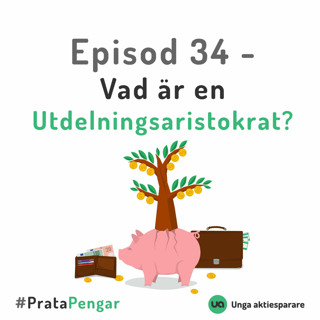 Episod 34 - Vad är en Utdelningsaristokrat?