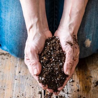 #618: Soil Dirt Wars with Pat Miletich Plus A Little Extra With Jame Duryea