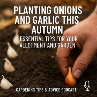 🎧 🌱 Planting Onions and Garlic This Autumn: Essential Tips for Your Allotment and Garden | Gardening Tips & Advice Podcast 🌱