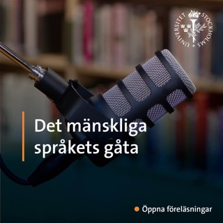 Det mänskliga språkets gåta