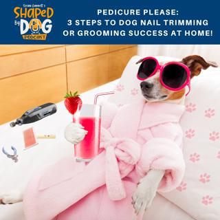 Pedicure Please: 3 Steps To Dog Nail Trimming Or Grooming Success At Home! #107