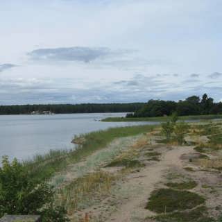 Fågeln som sällan vilar
och de som ofta gör det