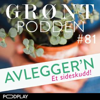 #81 Avlegger'n
