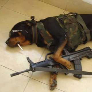 Don’t Rifle Thru My Stuff