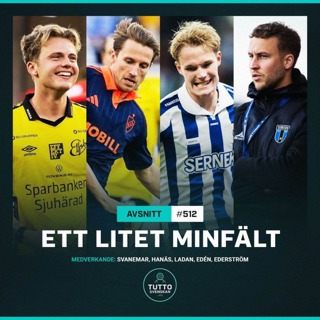 #512 Ett litet minfält