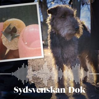 Spårhundarna del 1: Mysteriet med hundplågaren