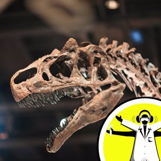 Palaeo Ponderings: Can You Dig It?