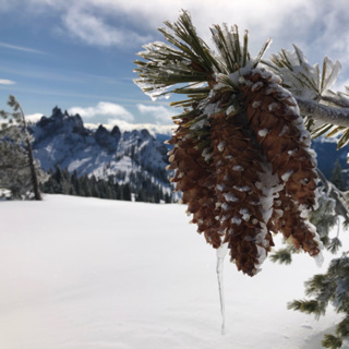 Episode 65: Castle Crags Wilderness- Snowmelt Rain
