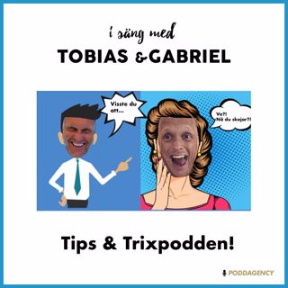 240. Fix & Trixpodden