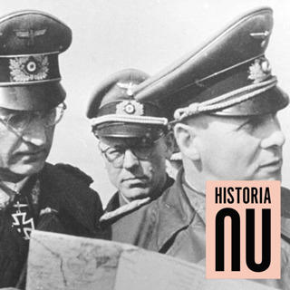Erwin Rommel – Hitlergunstlingen som ville hjälpa de allierade (del 2)