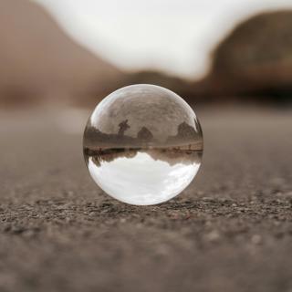 #113 — Consciousness and the Self