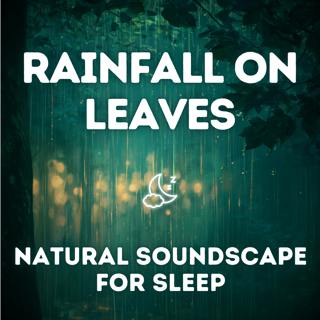 Rainfall on Leaves — Natural Soundscape for Sleep