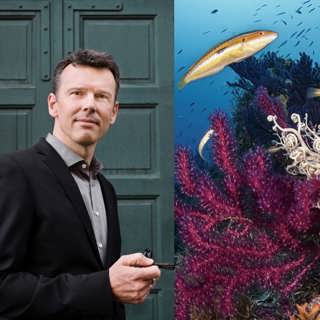 Korallforskaren: ”Miljontals människor är beroende av koraller för sin försörjning”