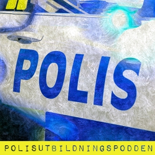 44. Förundersökningsledare vid krimjouren