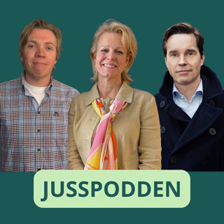 §296 Juss-knask: staten vs individet