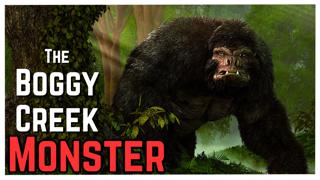 The Boggy Creek Monster CLAW MARKS Explored